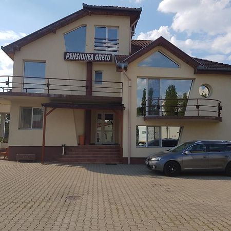 Pensiunea Grecu Луґож Екстер'єр фото
